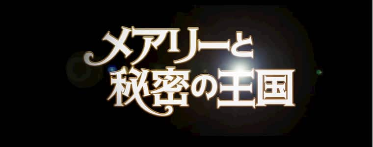 メアリーと秘密の王国 13 のあらすじと感想 メアリーと父の親子愛が素敵 Vodドラマnavi